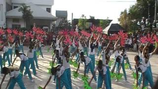 Field Demonstration 2014 Champion  Madridejos National High School  Alegria Cebu [upl. by Marigold]