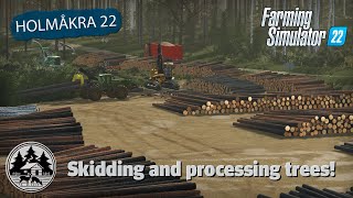 MAKING THE BIGGEST LANDING EVER  FS22  Forestry  Holmåkra 22  Timelapse  E12 [upl. by Con233]