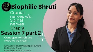 Cranial nerves vs Spinal nervesBasicschap9controlampcoordinationPart1Session 7Class 12th [upl. by Drof]