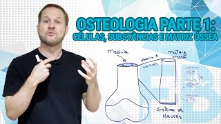 Osteologia Parte 1 Células substâncias e matriz óssea [upl. by Demeter]