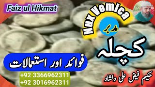 Benefits and uses of Kuchla Mudbar  کچلہ مدبر کے فوائد اور استعمالات faizulhikmat3101 plants [upl. by Annaigroeg]