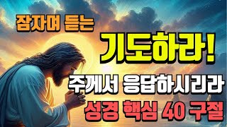 🌕 잠자며 듣는 성경 구절 모음 ⭐ 기도하라 주께서 응답하시리라 🤗 8시간 반복 재생 [upl. by Ylhsa]