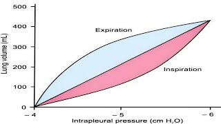 LUNG COMPLIANCE [upl. by Enaj]