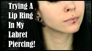 Trying a LIP RING In My Labret Piercing  First Time [upl. by Ecneitap]