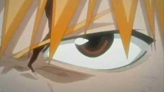 Bleach AmvDown With The Sickness [upl. by Anis38]