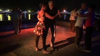 Milonga miauw Juan DArienzo  Linkeroever Antwerpen 2182024 [upl. by Yeslek]