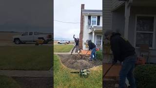 One of the hardest stumps we dug all year treeremoval gardening shorts satisfying trees work [upl. by Htebasile]