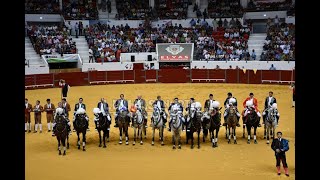 Elvas Coliseu repleto na segunda corrida de São Mateus [upl. by Zucker]