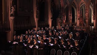 Barber  AGNUS DEI arr Adagio for Strings  Laurens Symfonisch  LIVE [upl. by Diella]