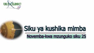 Kushika mimba Novemba 2024 Mzunguko siku 25 [upl. by Anaihs205]