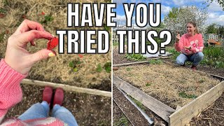 HAVE YOU TRIED THIS  ALLOTMENT GARDENING FOR BEGINNERS [upl. by Daniele]