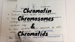 What is the difference between Chromatin chromosomes and chromatids [upl. by Kameko]