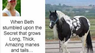 Pat Parelli  Secret How to Grow a Horses Mane amp Tail Super FAST [upl. by Lenette69]