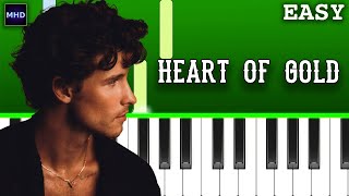 Shawn Mendes  Heart of Gold  Piano Tutorial [upl. by Acsirp]