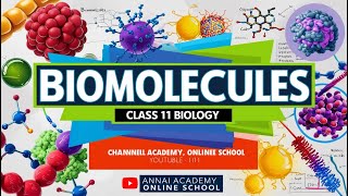 Biomolecules Decoded Unlocking Class 11 Biology [upl. by Dympha]