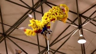 Lion Dance on 20Meter High Pole [upl. by Canice]