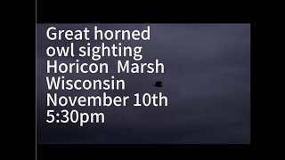 Great horned owl Horicon WI November 10th 530pm [upl. by Aniroz]