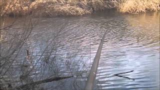 GUIDE TO POLE FISHING ON RIVERS THE POLE FEEDER [upl. by Aynuat]