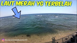 FENOMENA LAUT MERAH TERBELAH DI JEDDAH [upl. by Sokul]