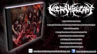 Necrambulant  Infernal Infectious Necro​  ​Ambulatory Pandemic FULL ALBUMHD [upl. by Aneetsirk]