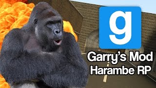 Memes Gmod Harambe RP [upl. by Akena]