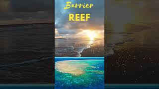 Coral Reef  barrier reef  fringing reefs  Atolls shorts shortsvideo environment [upl. by Cioffred]