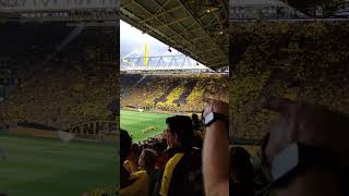 Borussia Dortmund Fans Farewell Tifo to Marco Reus  BVB  Darmstadt 1852024 [upl. by Akiram727]