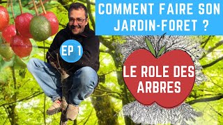 Comment faire son jardinforêt  épisode 1 Le rôle des arbres [upl. by Asha937]