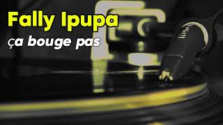 FALLY IPUPA CA BOUGE PAS INSTRUMENTAL [upl. by Yreme]