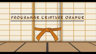 Ceinture ORANGE  Programme du Passage de Grade Judo [upl. by Nickolai]