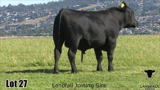 Lot 027 Landfall Rostella TFA22T131 [upl. by Frymire757]