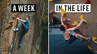 A Week Training With a Pro Climber Ft Jim Pope [upl. by Wivina]