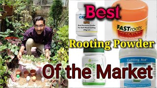 Which one is the Best Rooting Hormone Powder available in the Market Rooting Powder you can buy [upl. by Audley]