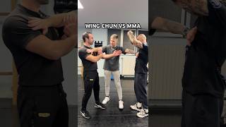 WING CHUN VS MMA FIGHTER erwin [upl. by Eignat]