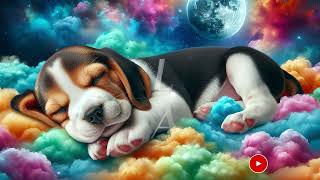 Deep Sleep Melody to Relax the Mind lullaby sleep relaxing calm zen chill beagle [upl. by Adnirak754]