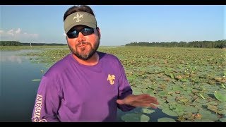 Bass Fishing on Toledo Bend with Greg Hackney Sportsman TV Remix [upl. by Dole]