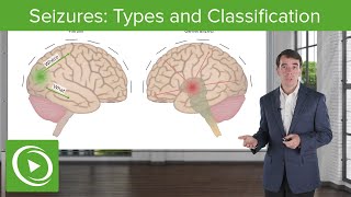 Seizures Types and Classification  Clinical Neurology [upl. by Eissed834]