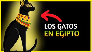 🙀😻 Por qué los EGIPCIOS ADORABAN a los GATOS Significado del gato en el antiguo Egipto [upl. by Zasuwa405]