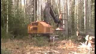 Tigercat 860C Feller Buncher cutting Poplar trees Hudson Hope BC [upl. by Buddie836]