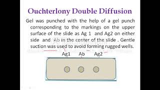 Ouchterlony Double Diffusion [upl. by Hendricks962]