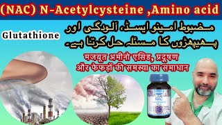 NAcetylcholine NAC benefits UrduHindi [upl. by Raseta247]