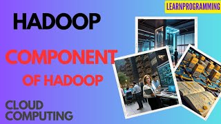 HADOOP  Components of HADOOP  simple explanation by kehkesha2512 [upl. by Washko]