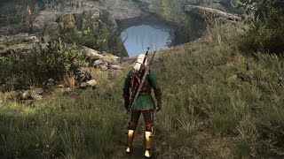 99 Players Missed This Secret Quest With Ultra Rare Loot  Witcher 3 Next Gen [upl. by Lednyk]