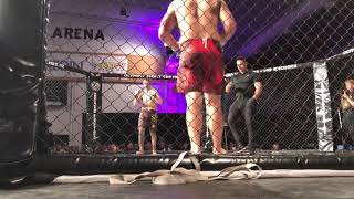 Wing Chun Fighter Fastest KO 14 Second in Professional MMA Fight 2017 [upl. by Juetta]