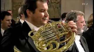 Brahmss 2nd Symphony 2nd Mov First Horn Solo [upl. by Tanah]