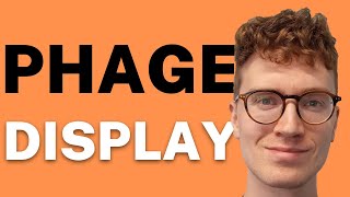 PHAGE DISPLAY EXPLAINED 2 Minutes [upl. by Beverle330]