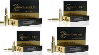 Big Weatherby Ammo News [upl. by Reyaht27]