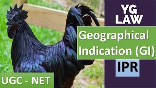 Protection of Geographical Indications  YG Law [upl. by Etteniotnna364]