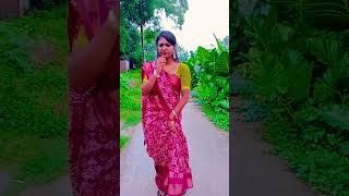 Santosh pagol  short  vairal [upl. by Accebber]