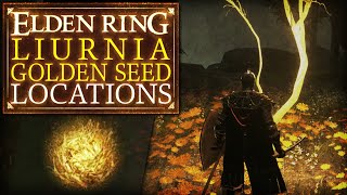 Elden Ring  Liurnia Golden Seed Locations [upl. by Kerman]